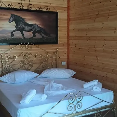 Holiday home Pushi Park