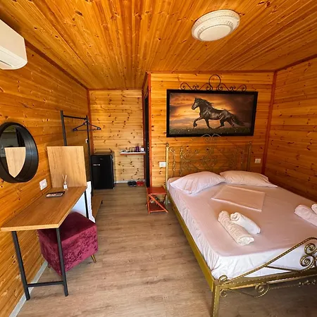 Tatil Evi The Pool Pushi Park *