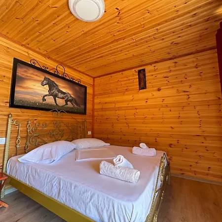 The Pool Pushi Park *