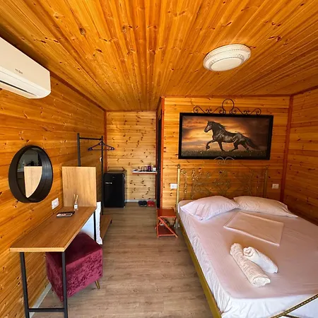 Tatil Evi The Pool Pushi Park *