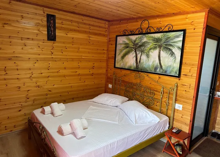 The Pool Pushi Park 卡萨米尔