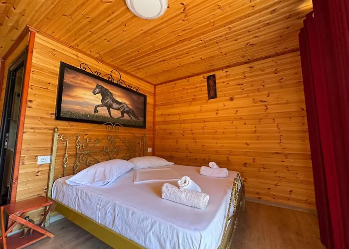 The Pool Pushi Park *