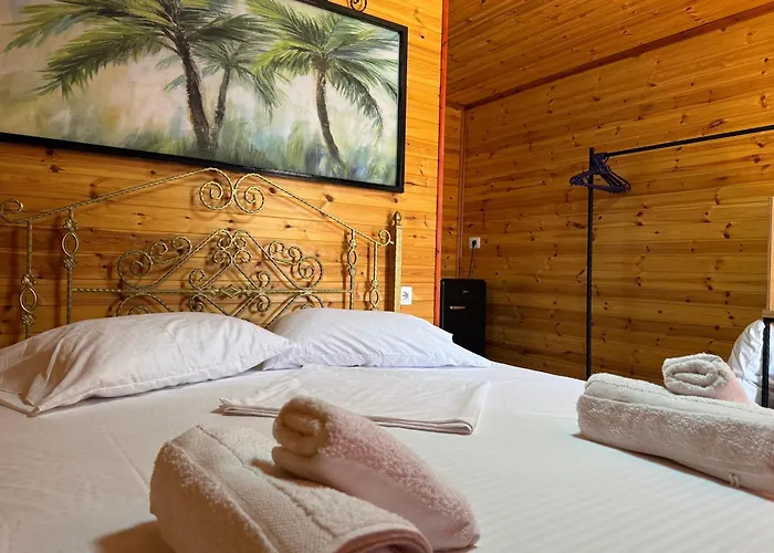 The Pool Pushi Park 卡萨米尔