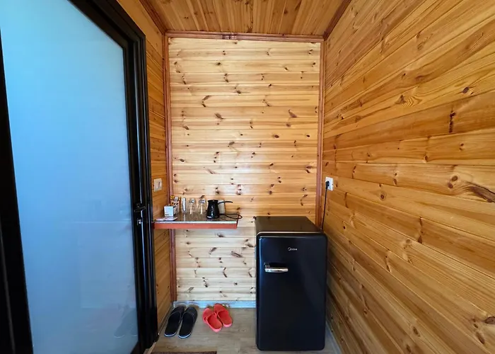 The Pool Pushi Park * 卡萨米尔